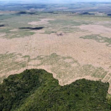 Who is responsible for protecting and preserving Indigenous cultures?
