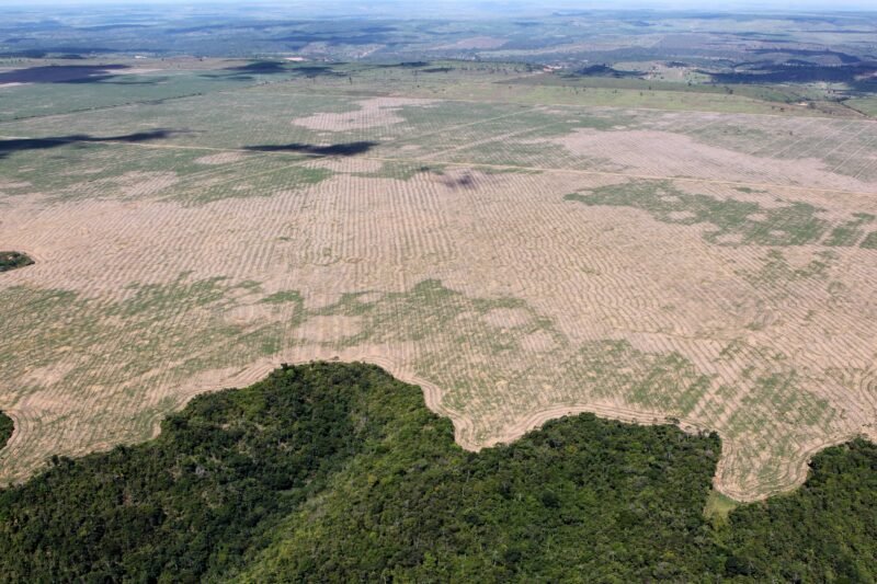 Who is responsible for protecting and preserving Indigenous cultures?