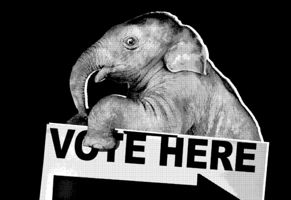 Politics republicans midterms panic