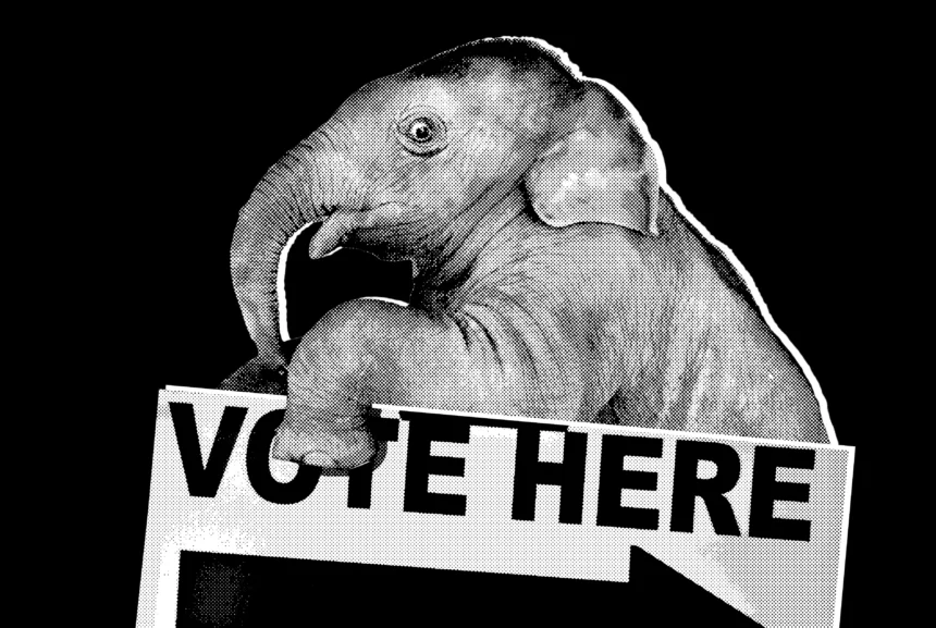 Politics republicans midterms panic